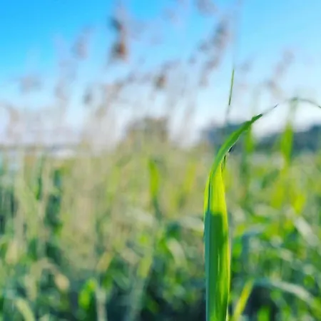 See_residenz Semesterbostad *